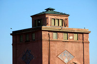 Pigeon Palace