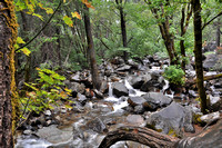 Bridalveil Creek