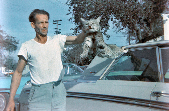 Bobcat at Tom's Market Parking Lot in Paso Robles 1970?