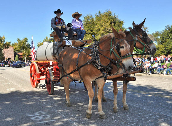 Wilburn Mules and Water Wagon