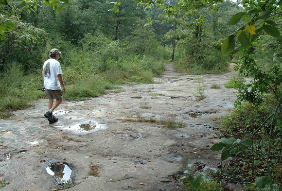 Sandstone Path