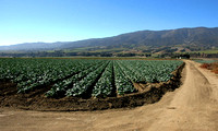 Directly Behind the Mission Looking West