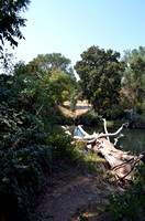 Mokolumne River at Clements