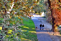 River Walkers