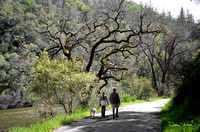 Electra Road