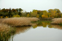 Stone Lakes Wildlife Preserve